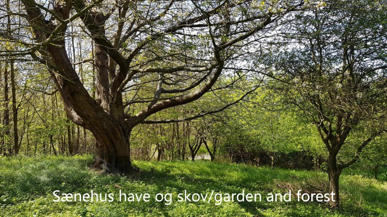 Villa Saenehus Husmandssted Allinge-Sandvig Esterno foto