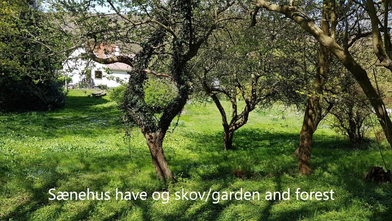 Villa Saenehus Husmandssted Allinge-Sandvig Esterno foto
