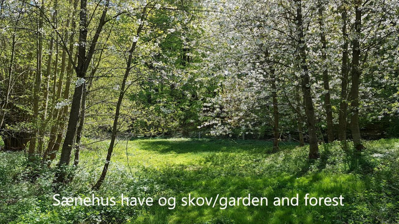 Villa Saenehus Husmandssted Allinge-Sandvig Esterno foto