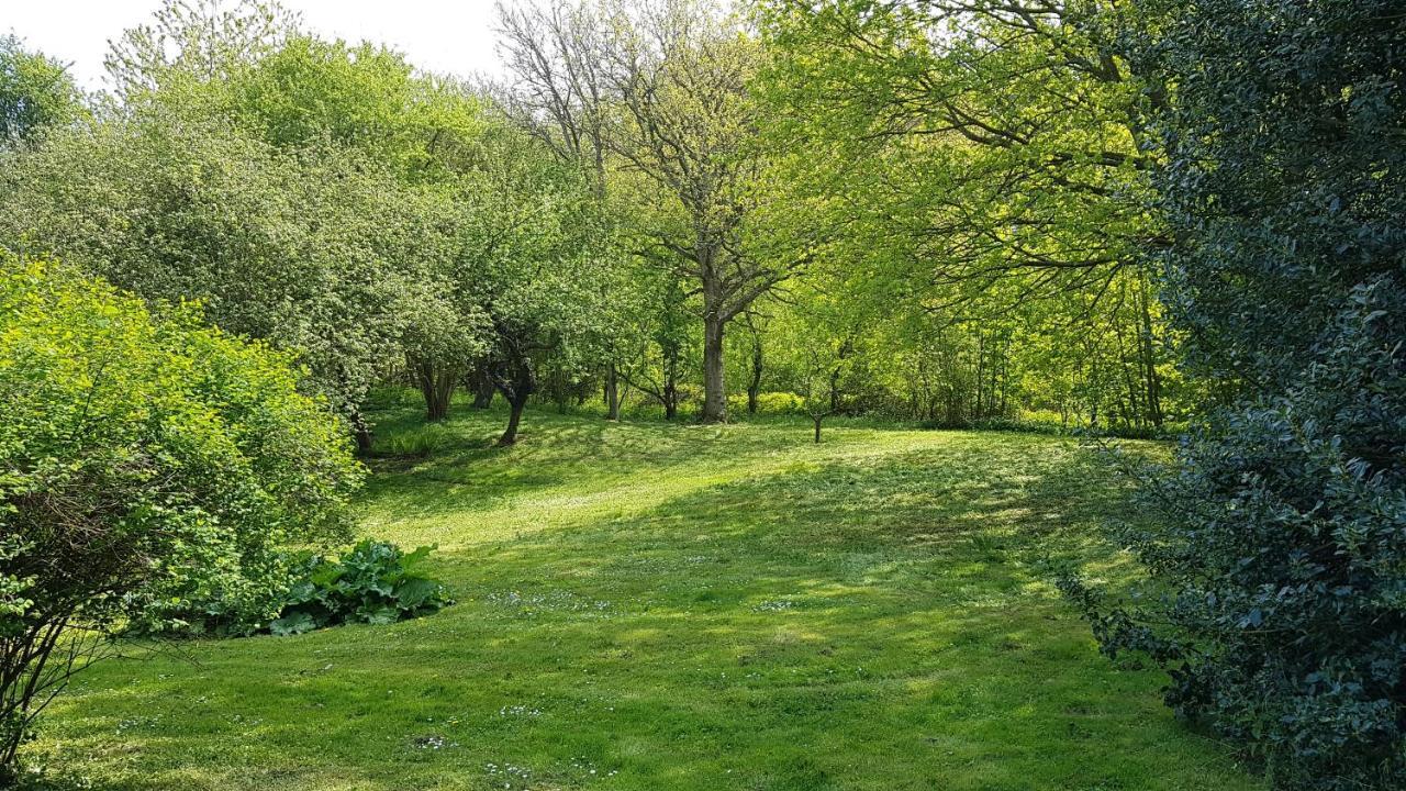 Villa Saenehus Husmandssted Allinge-Sandvig Esterno foto